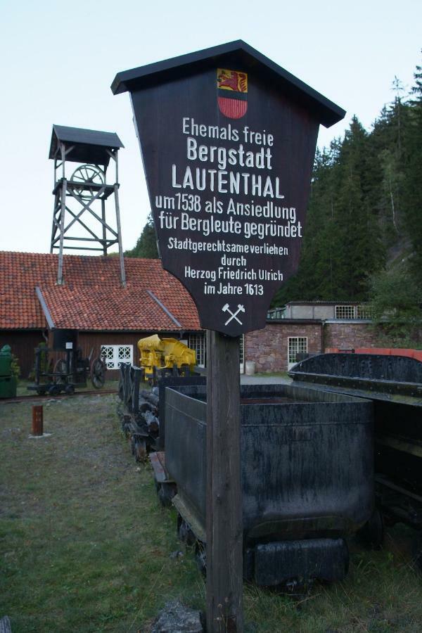 Ferienwohnung Harzblick Lautenthal Exterior photo